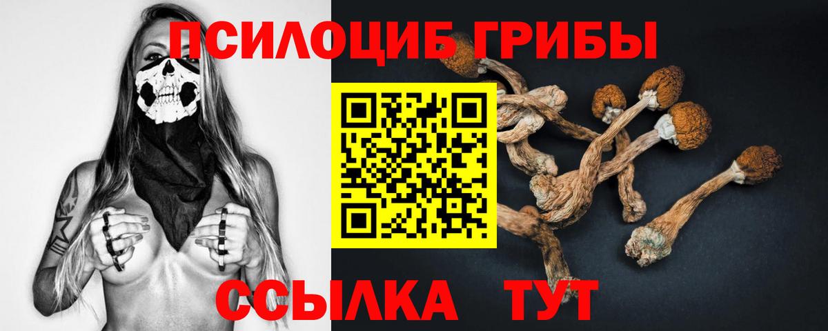 Псилоцибиновые грибы Cubensis  Вход с VPN  Галлюциногенные грибы Psilocybe  Биробиджан 